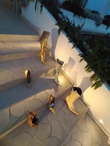 cid:image047.jpg@01DBFA92.5BC72A70